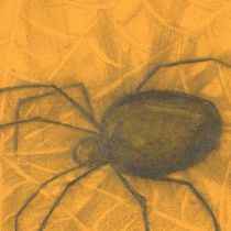 Работа участника