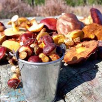 Работа участника