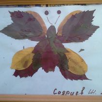 Работа участника