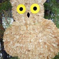 Работа участника