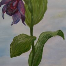 Работа участника