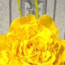 Работа участника