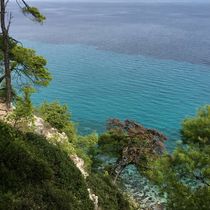 Работа участника