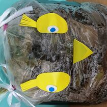 конкурс детских рисунков, Всероссийский творческий конкурс «Осенний натюрморт»