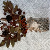 конкурс детских рисунков, Всероссийский творческий конкурс «Осенний натюрморт»